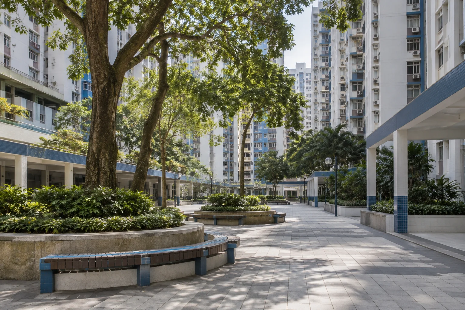 香港住宅區的庭院與樹蔭